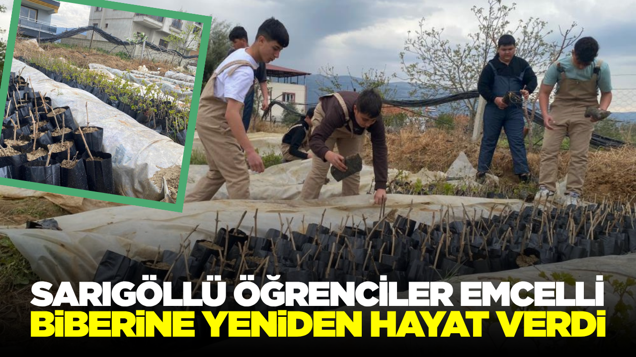 Sarıgöl'de Öğrencilerden Tarıma Önemli Katkı