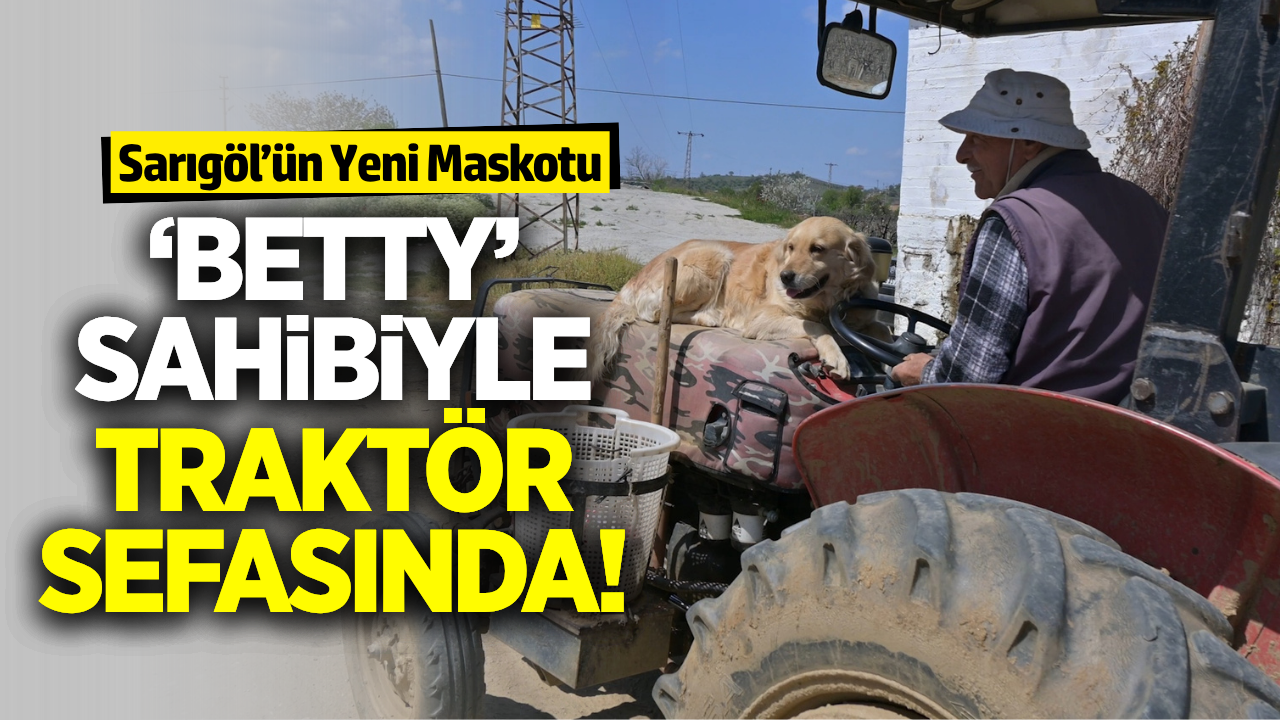 Sarıgöl’ün Sembolü Oldu: ‘Betty’ Sahibiyle Traktör Sefasında