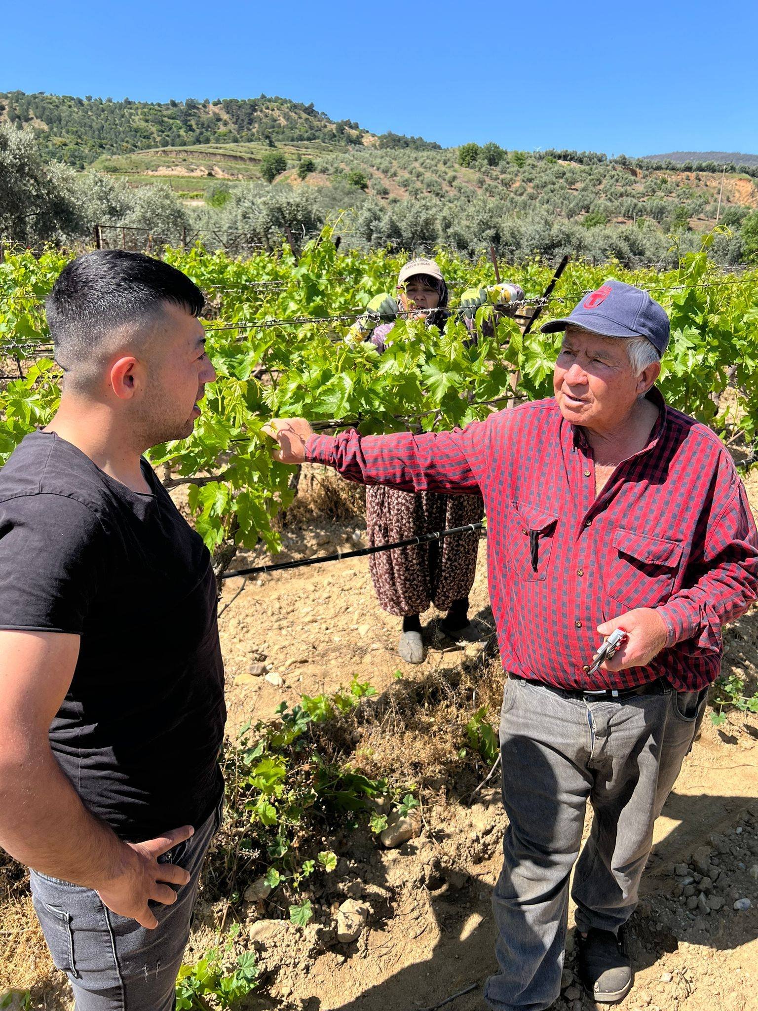 Tari̇ş'ten Alaşehirli Üreticiye Teknik Destek! (2)