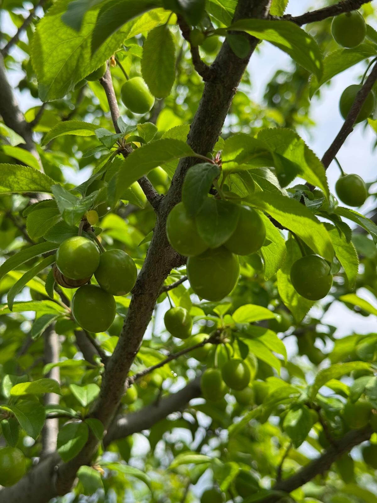 Whatsapp Image 2026 04 04 At 21.15.59