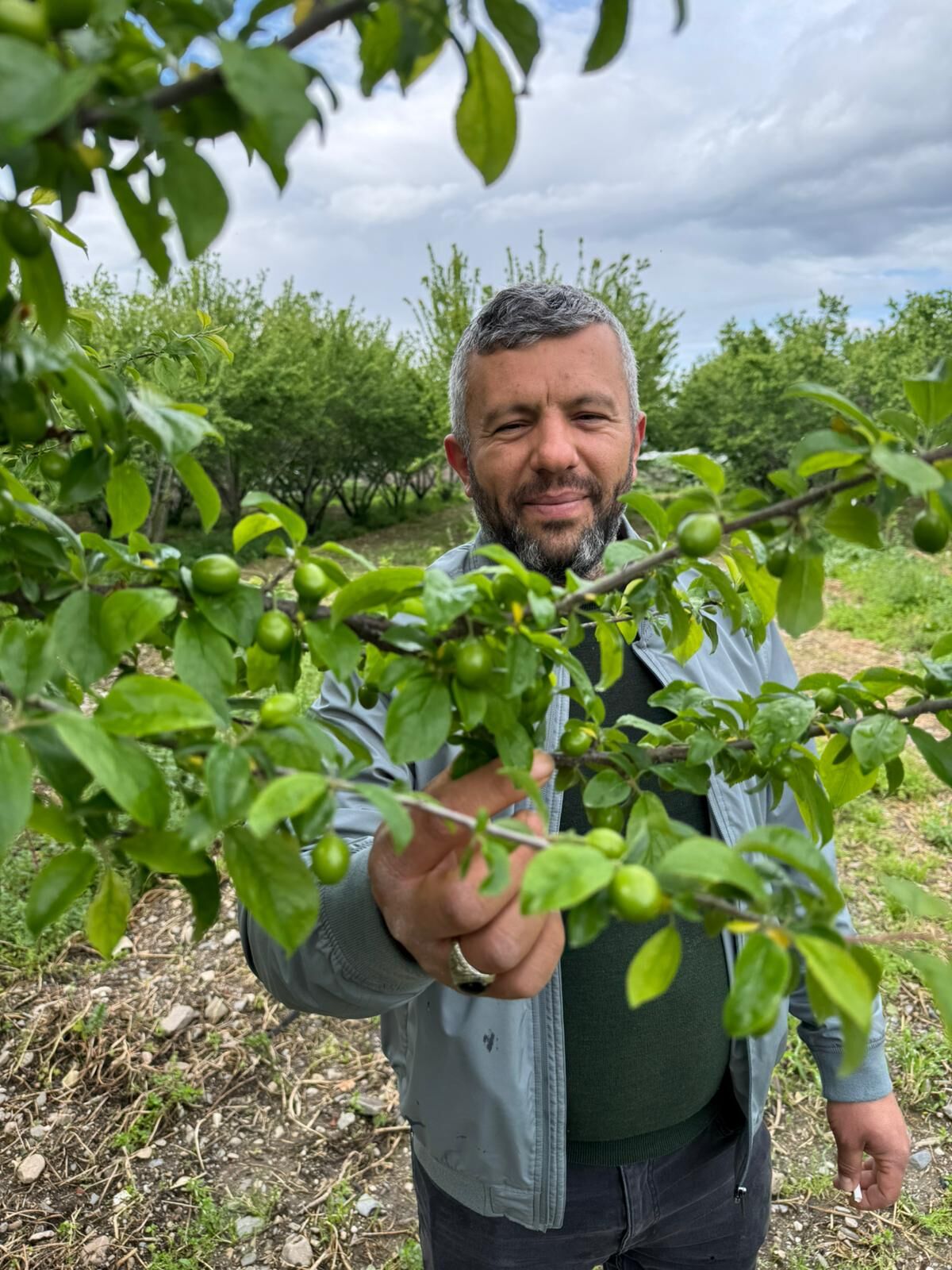 Manisa'nın Yeşil Altın'ında sezon açılıyor-2.3