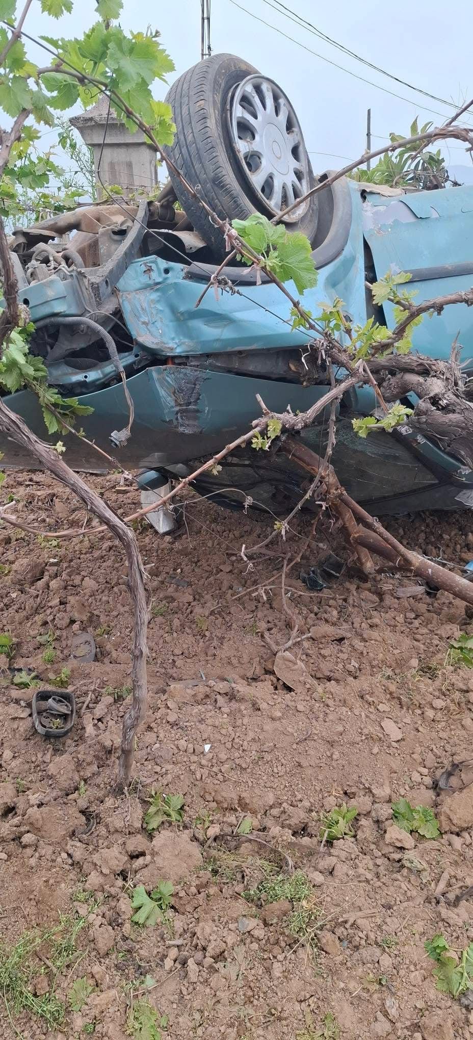 alaşehir'de otomobil üzüm bağına savruldu.-121