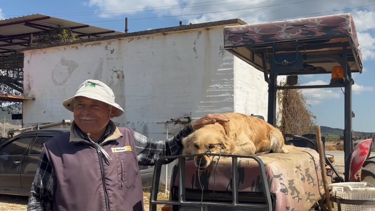 Whatsapp Image 2026 04 27 At 22.20.43