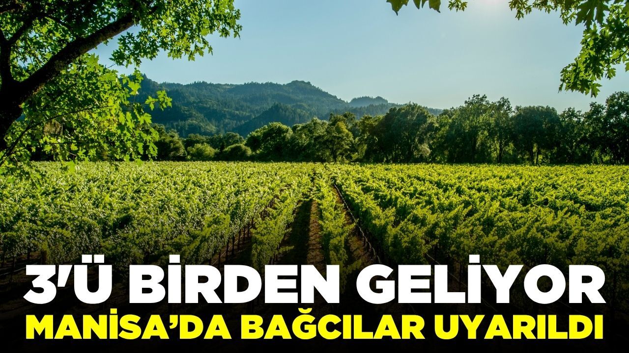 Sarıgöl’de bağcılar için kritik uyarı