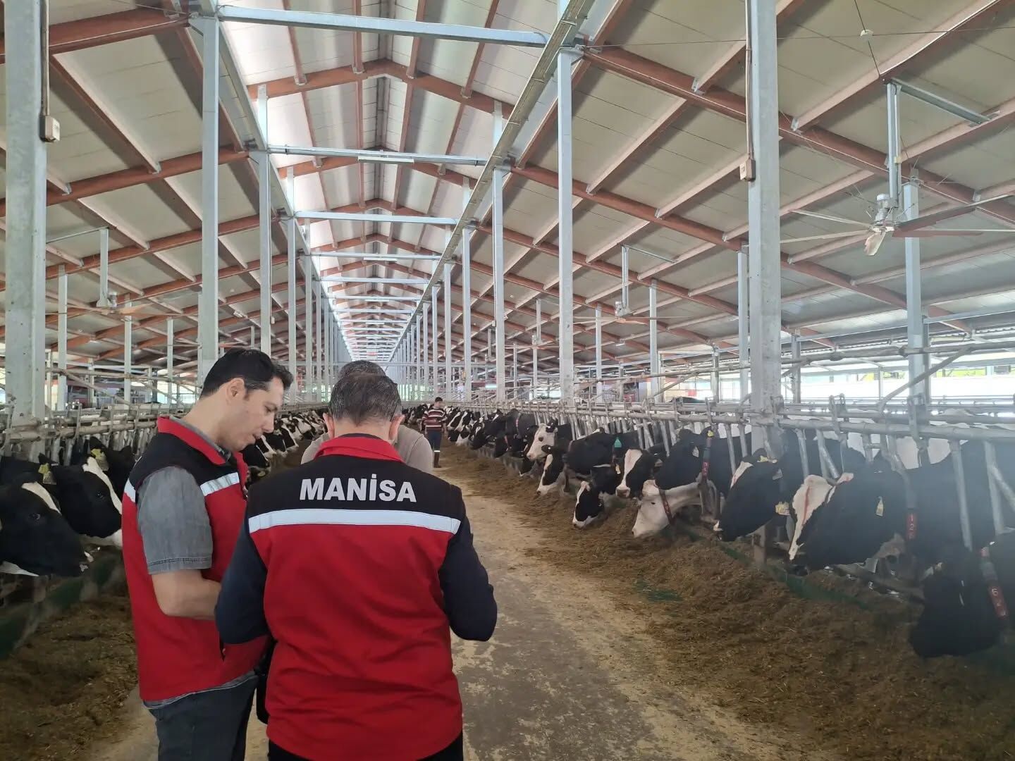 Manisa'da 'Hastalıktan Ari' İşletmelerde Yıllık Rutin Denetimler Yapıldı-1