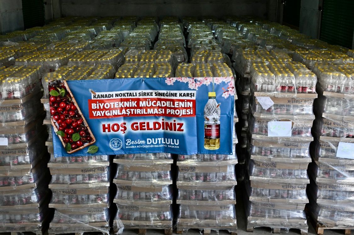 Manisa Büyükşehir Belediyesi'nden Kiraz Üreticisine 