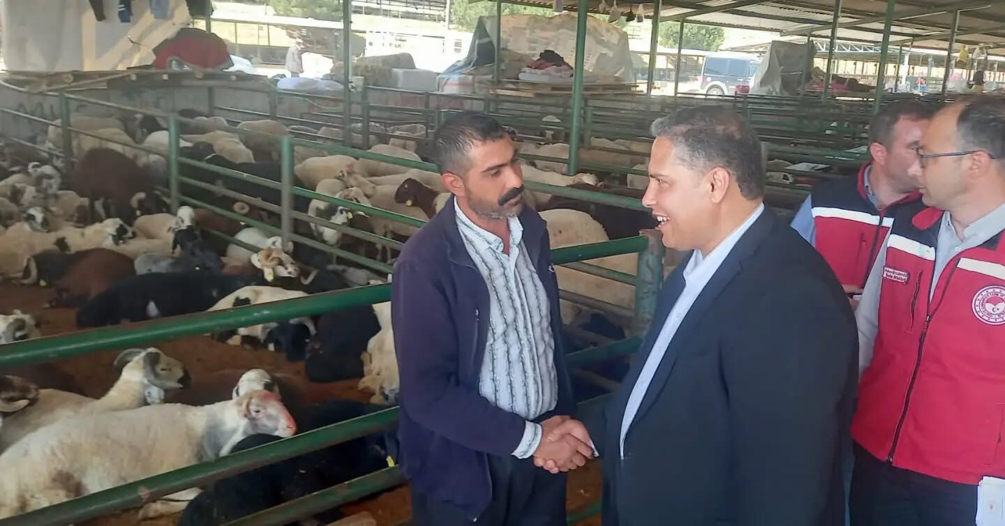 Manisa’da kurbanlık denetimi: Hayvan borsasında inceleme yapıldı-1
