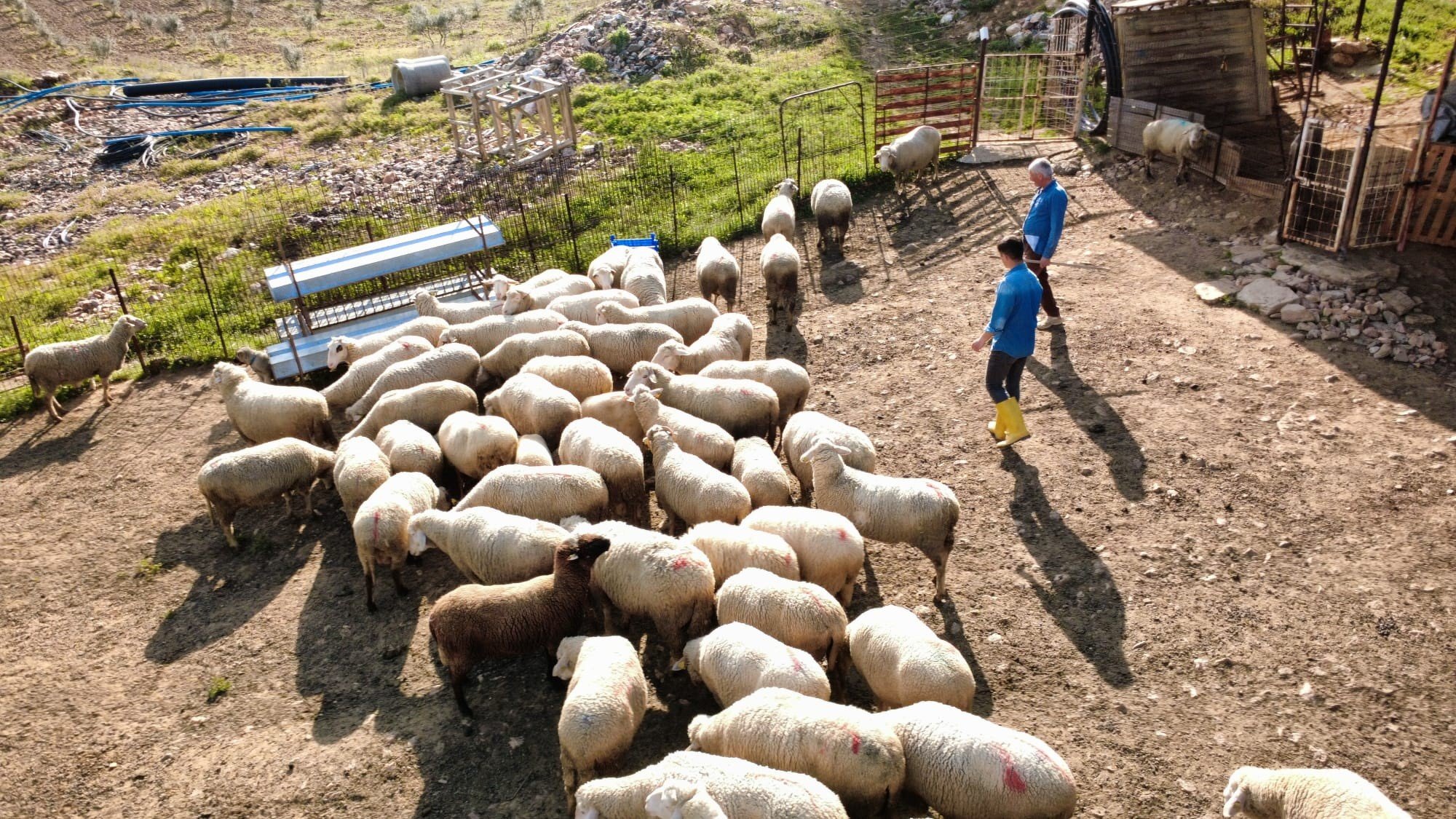 Manisa'da bir ilk: 23 yaşında bir sağlıkçı yetiştiriyor-.1