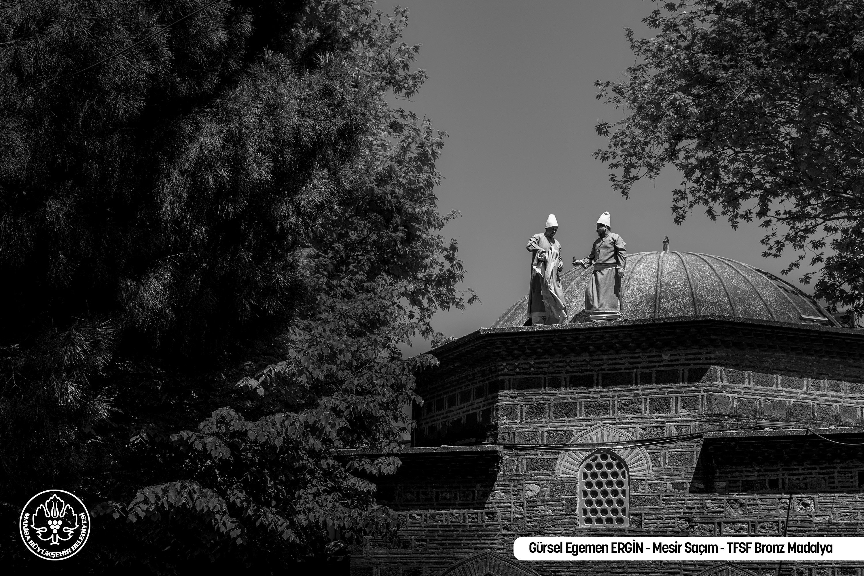 Mesir Festivalinde çekilmiş en güzel fotoğraf belli oldu-.2.2