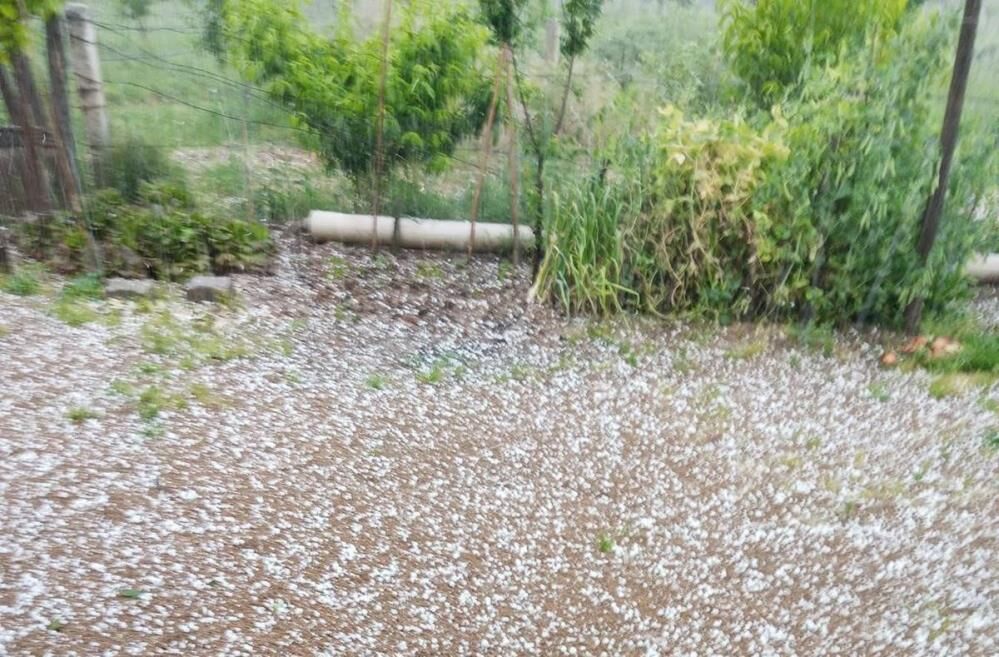 Sarıgöl’de Aniden Bastıran Dolu Üreticiyi Korkuttu
