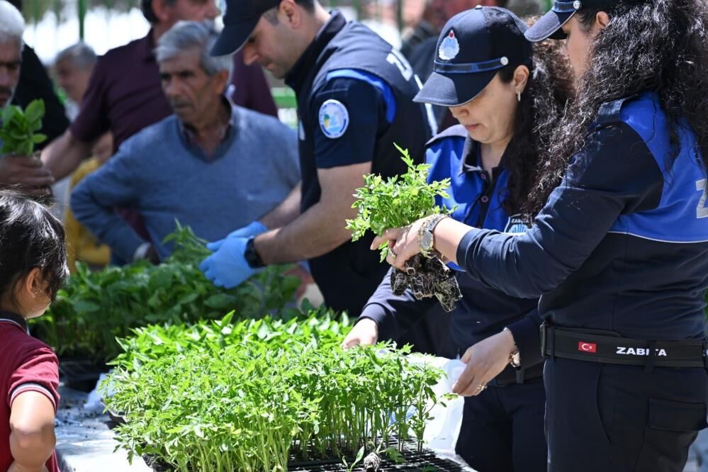 Manisa Büyükşehir’den kırsala dev fide desteği