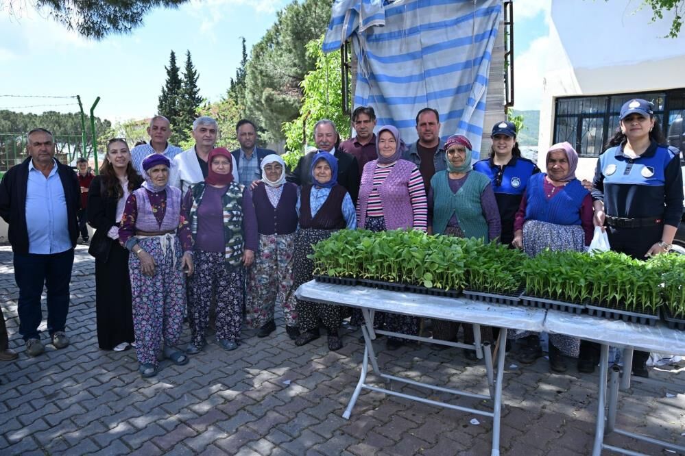 Manisa Büyükşehir’den kırsala dev fide desteği-2