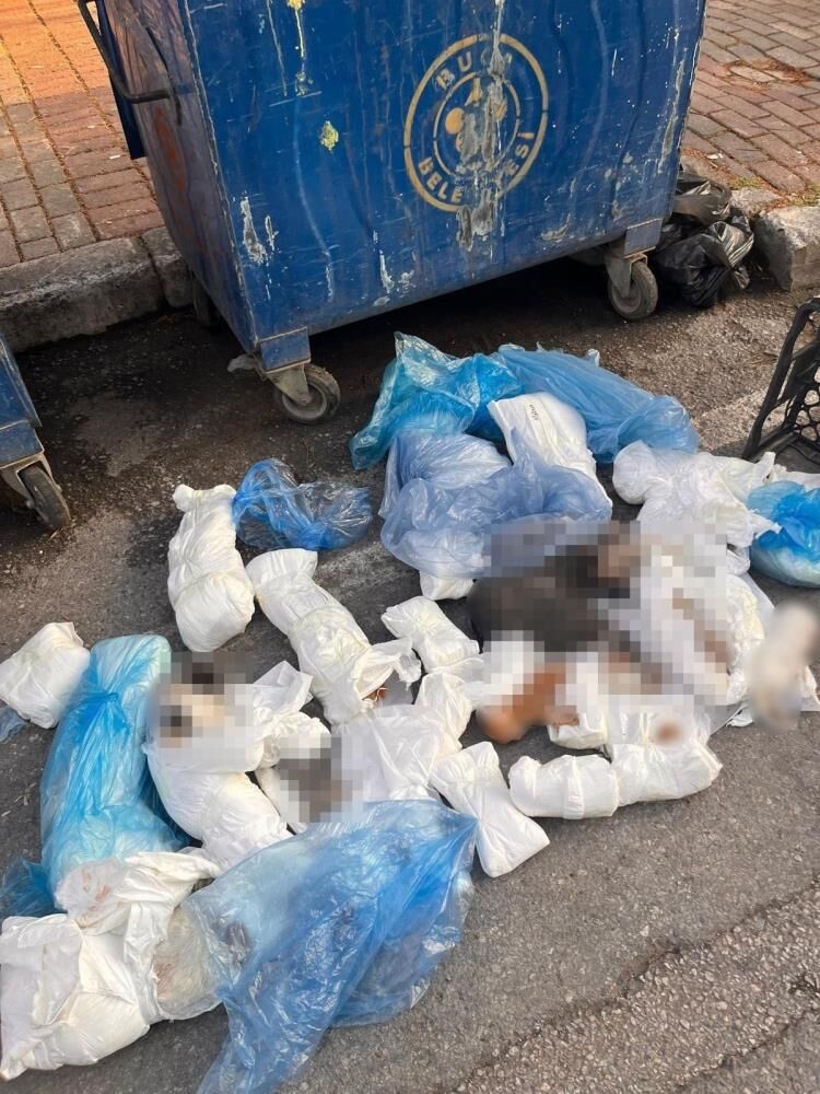 İzmir'deki Kedi Katliamında Flaş Gelişme: Serbest Bırakılan Veteriner Tutuklandı!