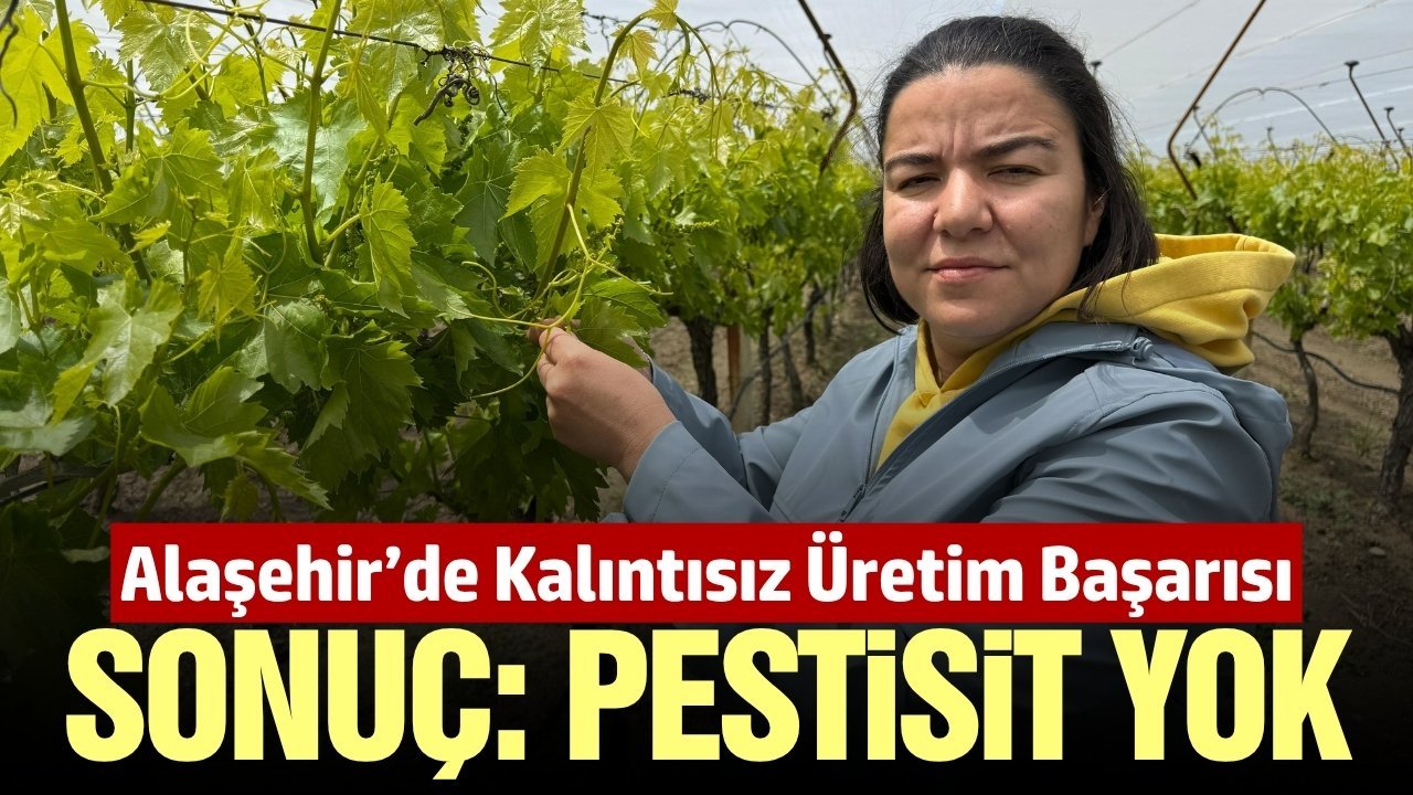 Alaşehirli çift kimyasal kalıntısız üretim yapmayı başardı