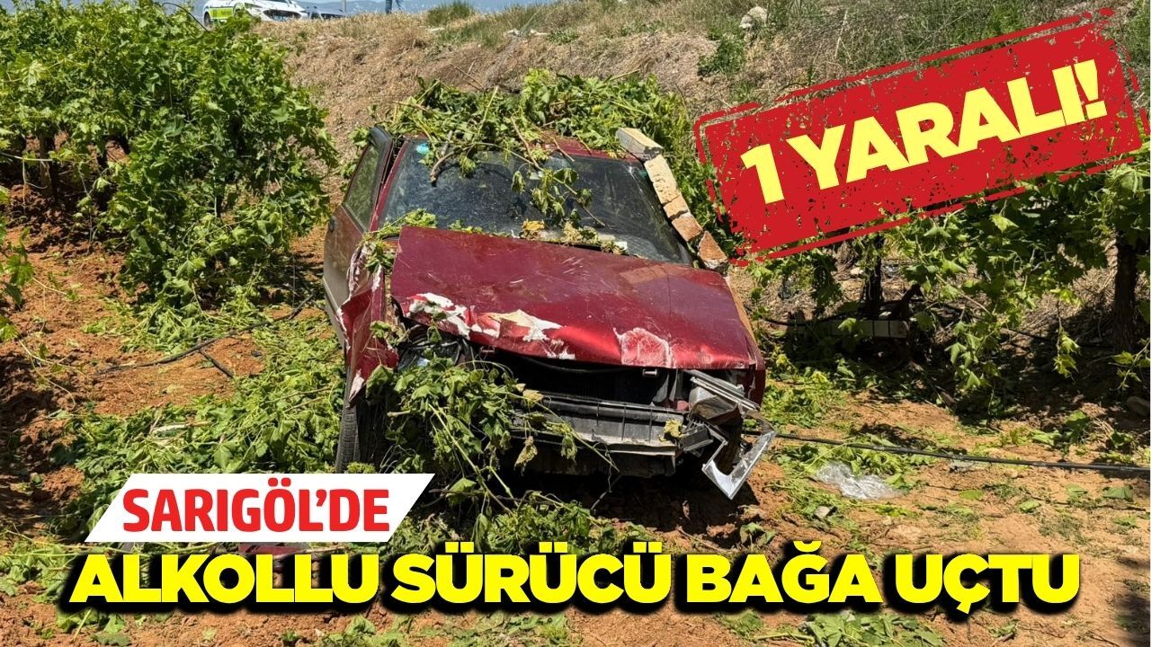 Sarıgöl’de kontrolden çıkan otomobil üzüm bağına uçtu