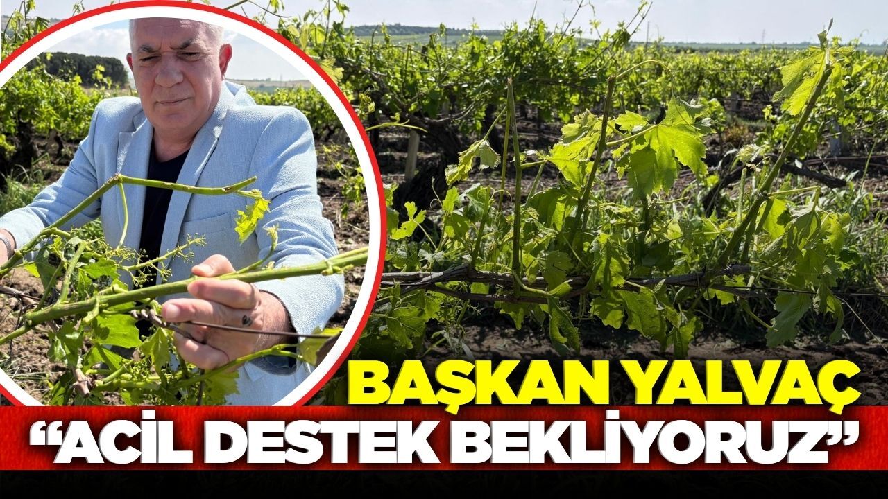 Başkan Yalvaç yetkililere seslendi!