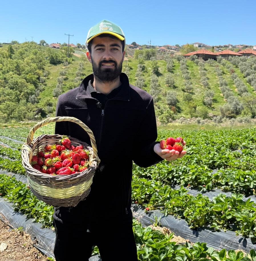 Gençler Manisa'da Çilek Hasadında! (3)