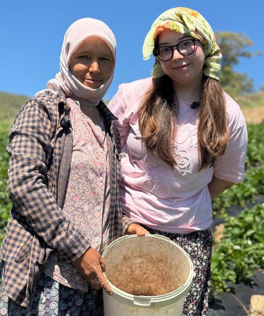 Gençler Manisa'da Çilek Hasadında! (4)