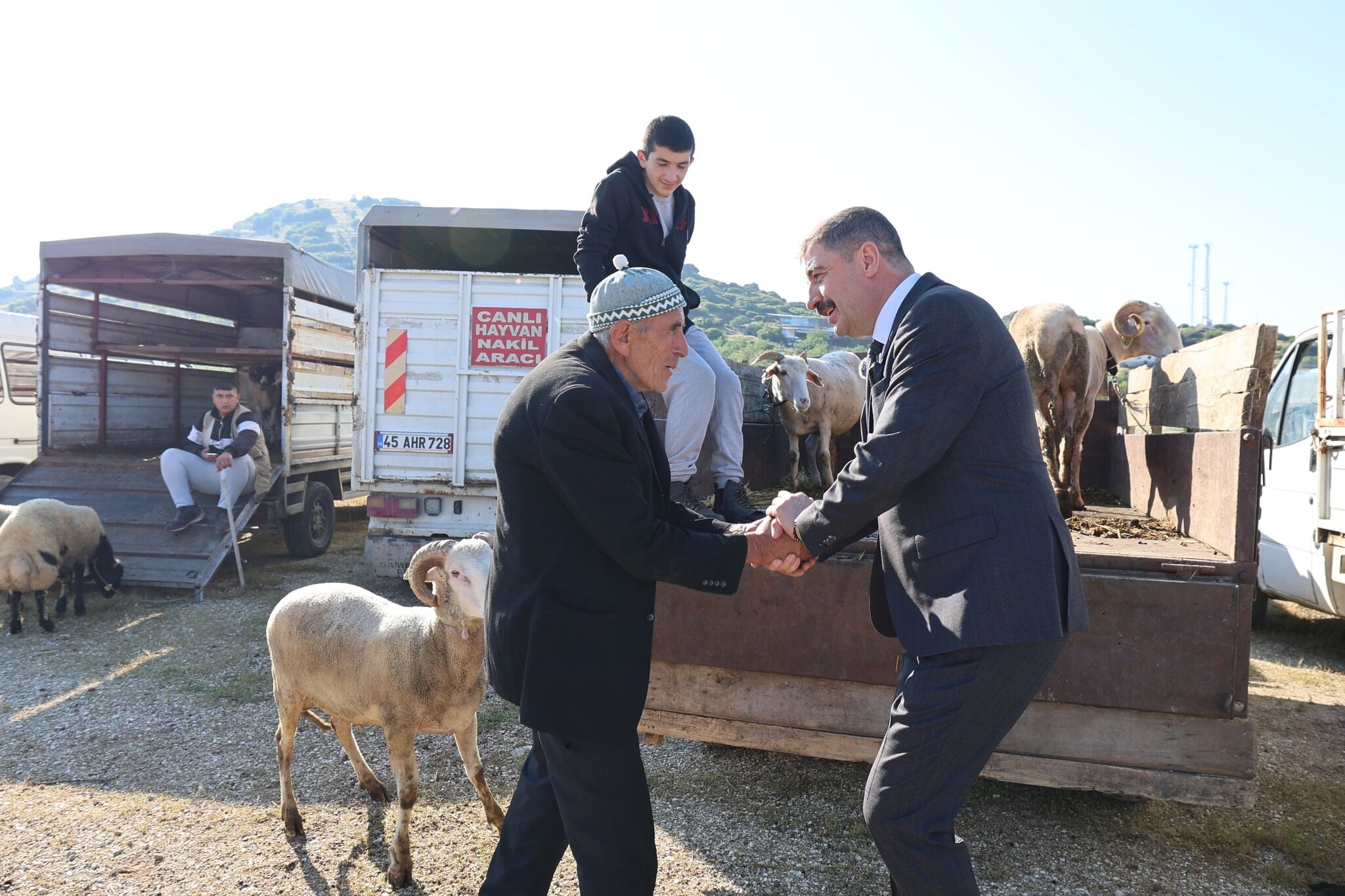 Kula Hayvan Pazarı (3)