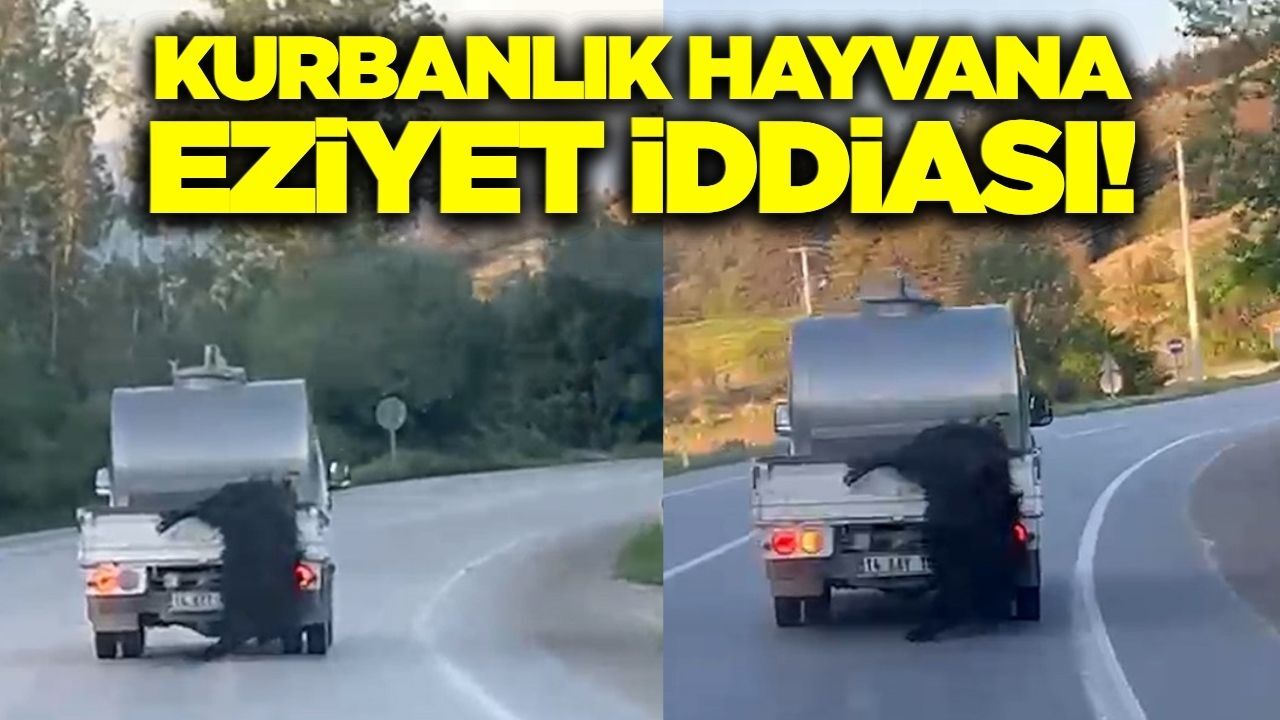 Aracın arkasına bağladığı kurbanlık hayvanı metrelerce sürükledi!