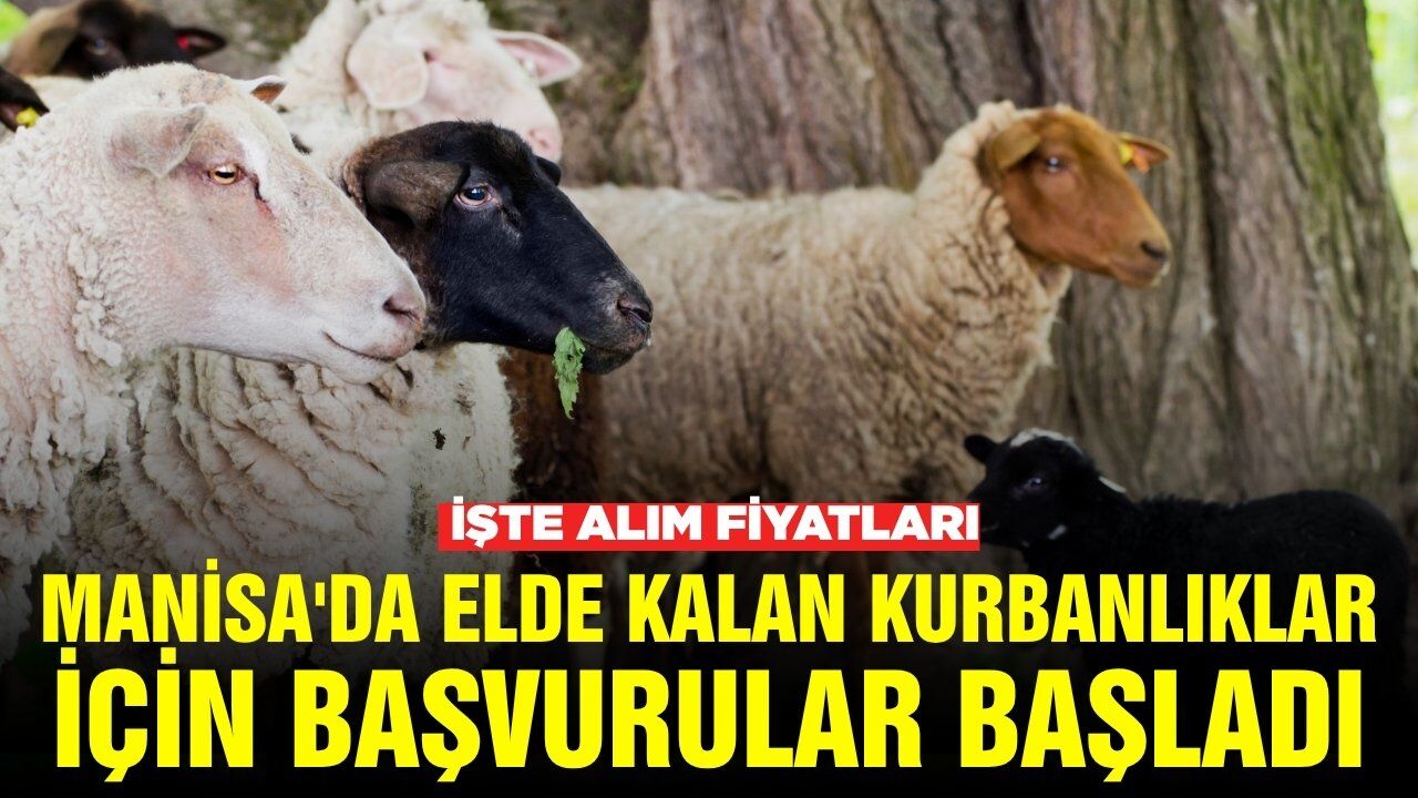 Manisa Tarım İl Müdürlüğü duyurdu: ESK satın alacak