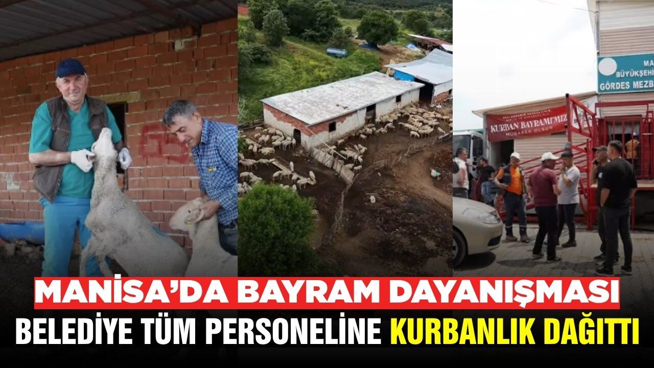 Manisa'da örnek dayanışma: Çalışanlara kurbanlık hediye edildi!