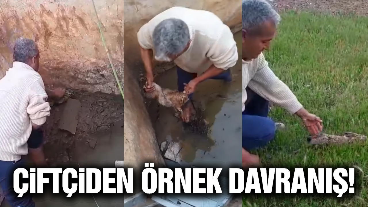 Manisa'da 'İnsanlık Ölmemiş' dedirten görüntü!
