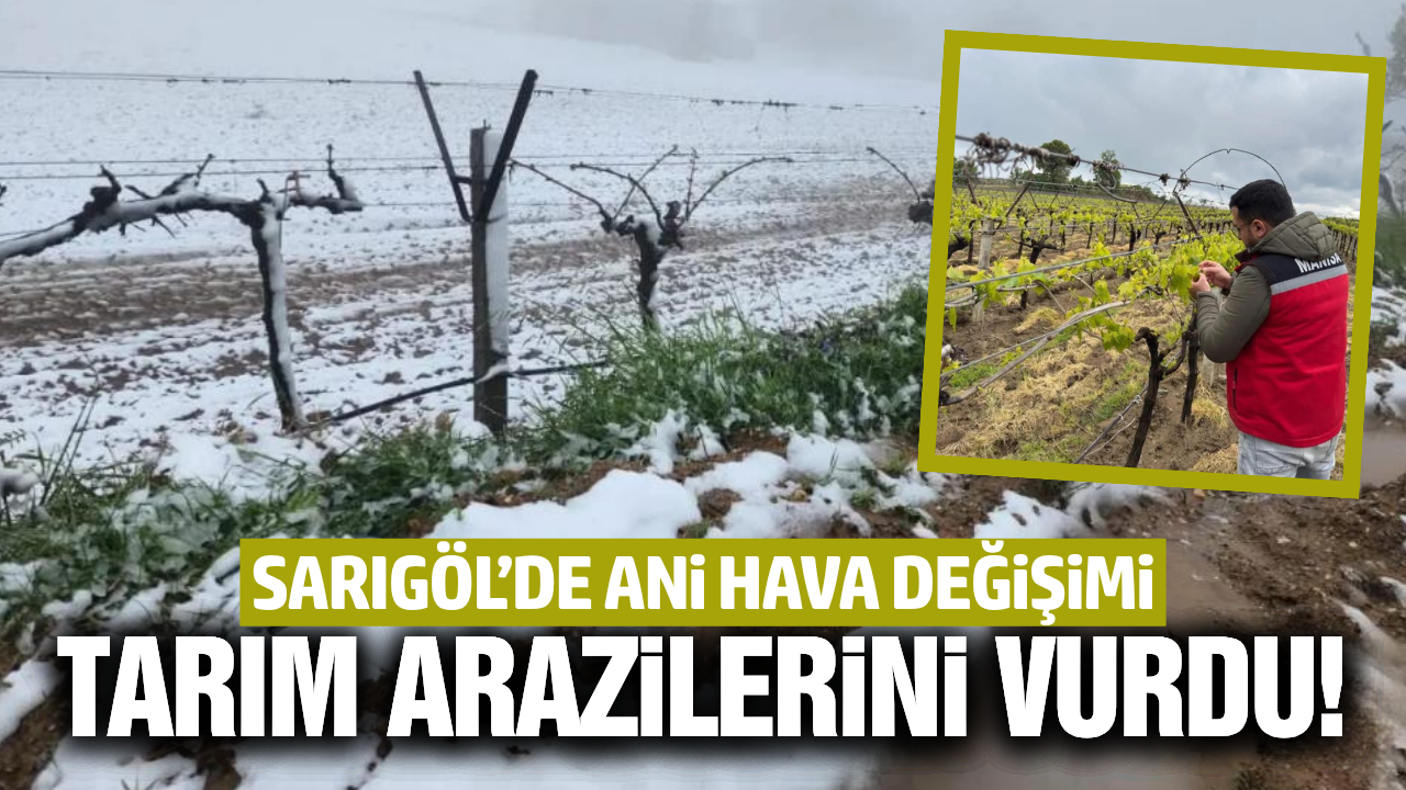 Sarıgöl'de ani hava değişimi üreticiyi vurdu!