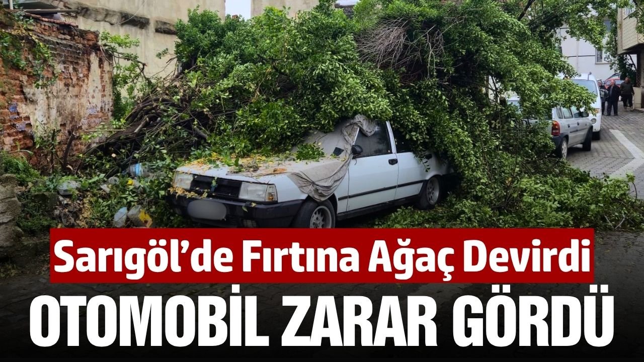 Sarıgöl'de şiddetli fırtına nedeniyle ağaç devrildi
