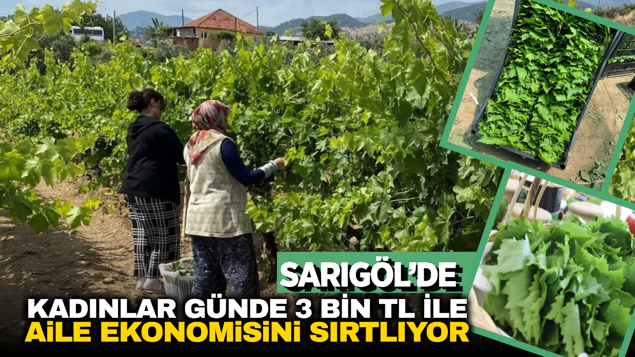 Bağdan Gelen Servet: Kadın İşçilerin Günlük Kazancı Dudak Uçuklatıyor