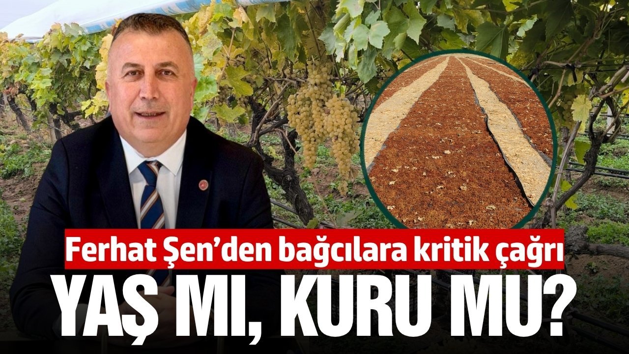 TARİŞ'ten üreticilere kritik çağrı: Sezon başında karar verilmeli