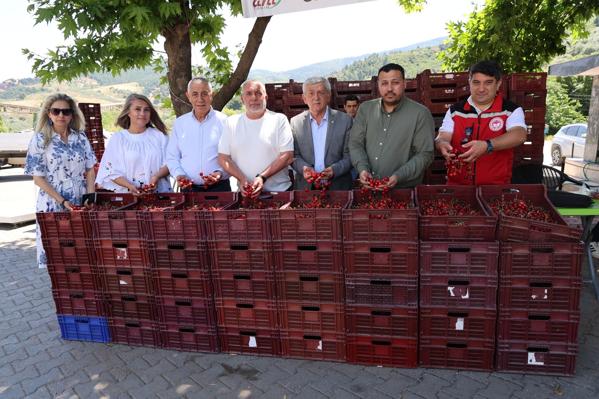 Coğrafi işaretli Salihli Kirazı'nın geleceği sahada incelendi-.1