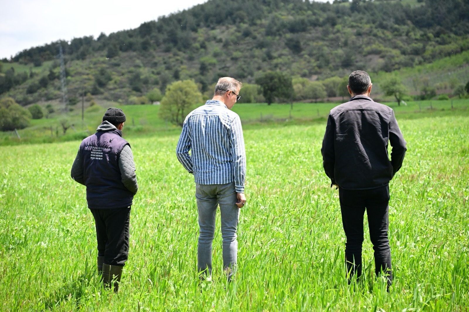 Manisa Büyükşehir’in tohum desteği tarlalarda yeşerdi