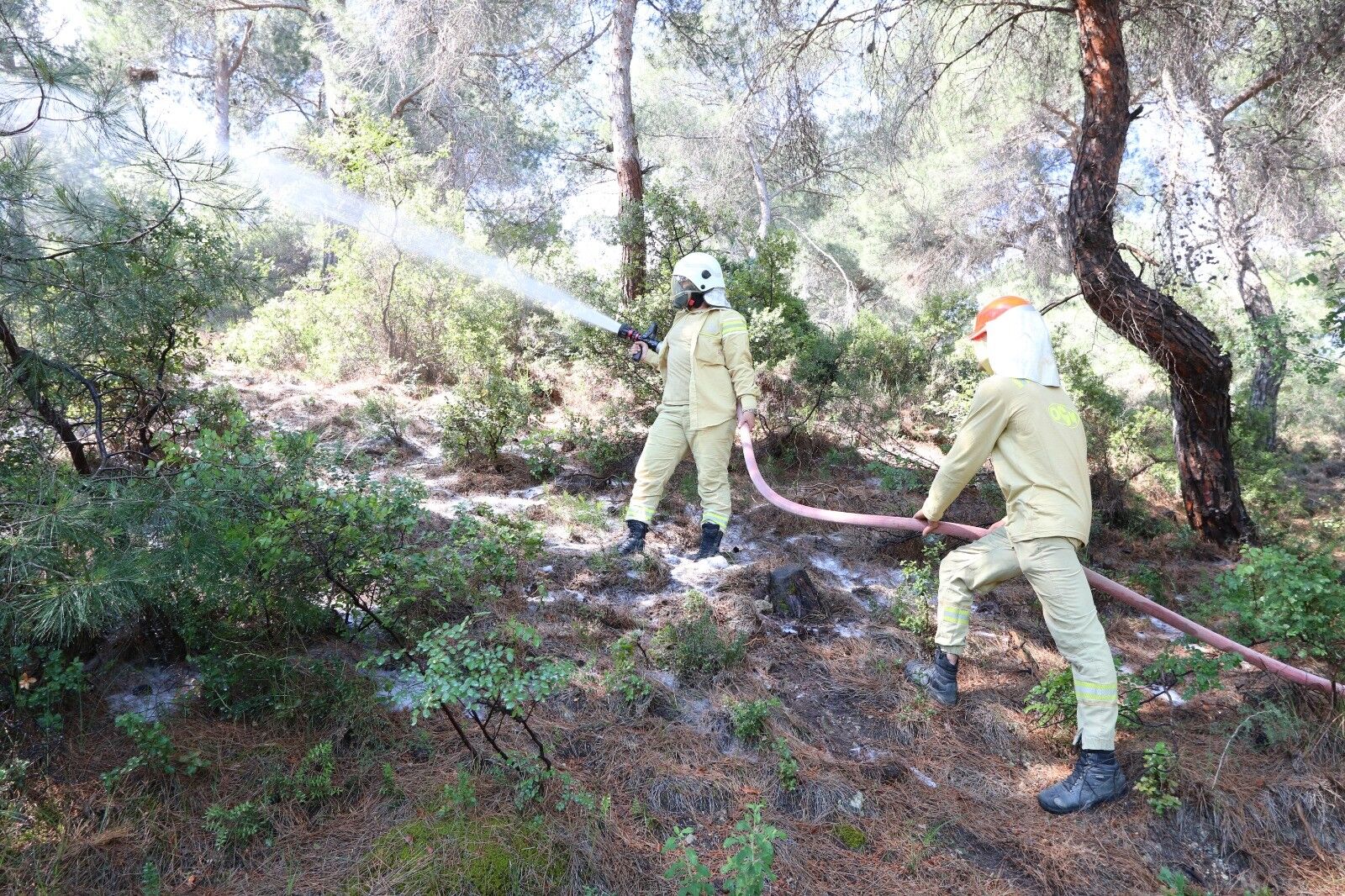 manisa’da afet tatbikatı: 5 ilçede aynı anda yangın senaryosu-1