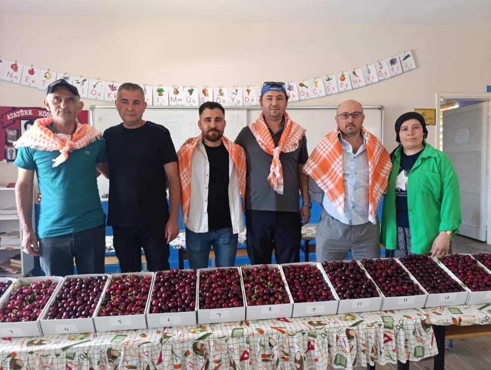 Gördes'te Kiraz Coşkusu: Börez'de Binlerce kişi Buluştu!