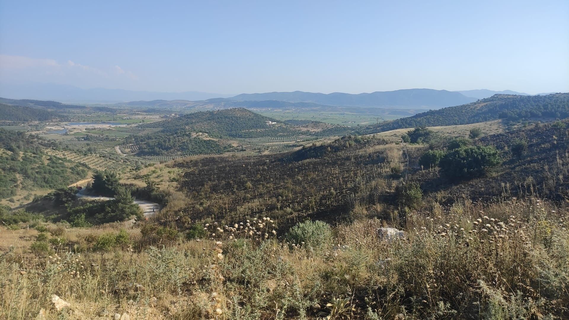 Manisa'da orman yangını korkuttu: Ekipler seferber oldu