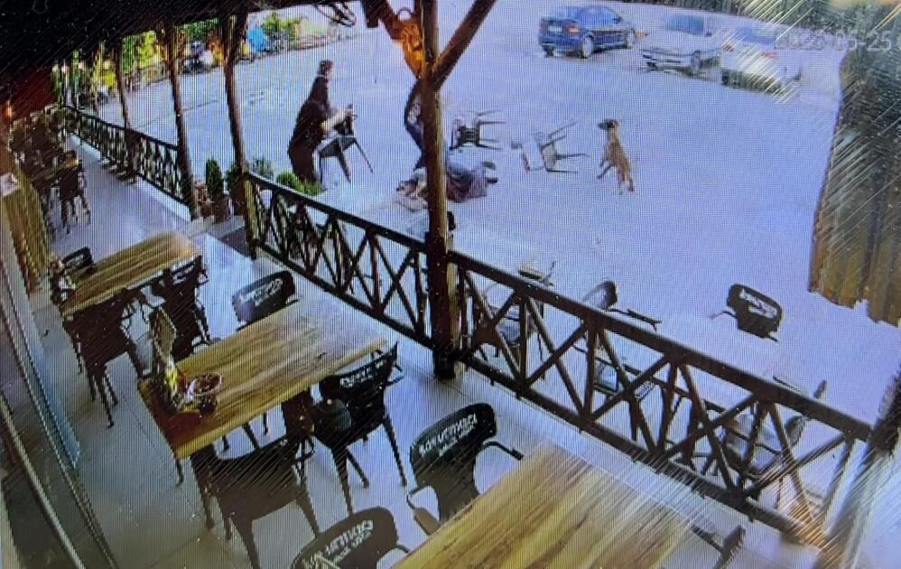 Afyonkarahisar'da köpek dehşeti: Saldırdığı kadının kolunu kopardı!
