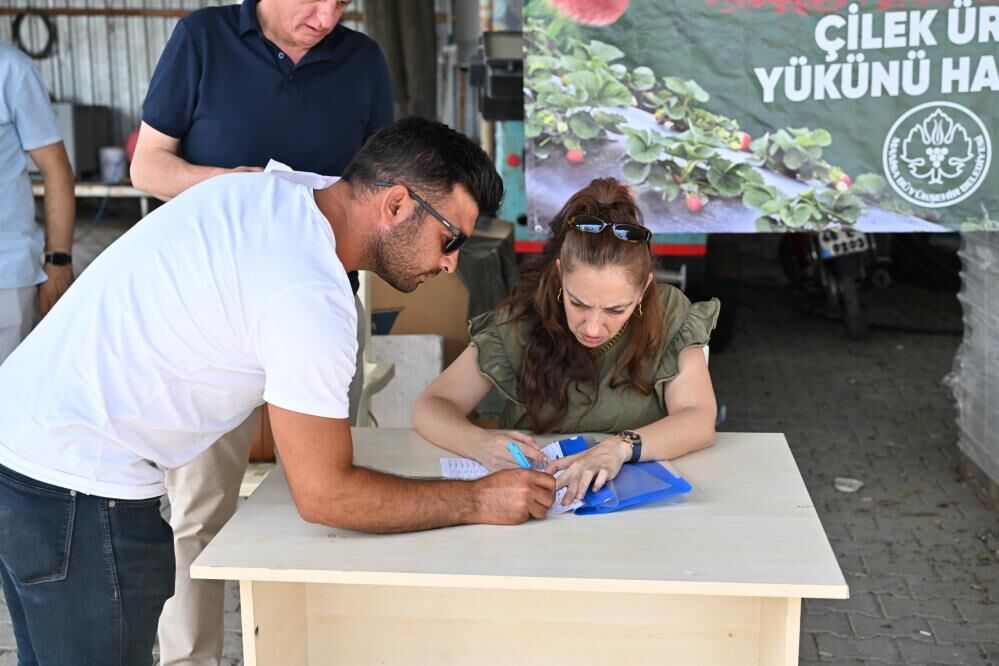 Manisa Büyükşehir'den çilek üreticisine destek!