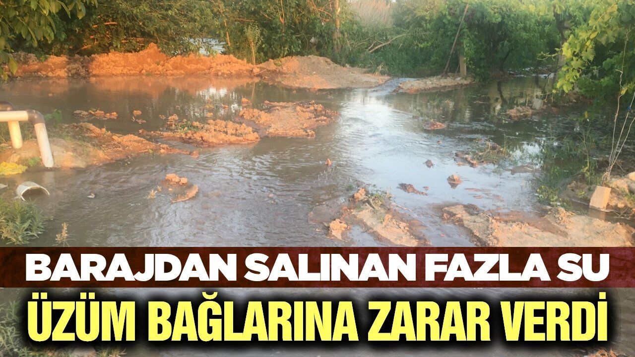 Bağları bu sefer susuzluk değil fazla su vurdu