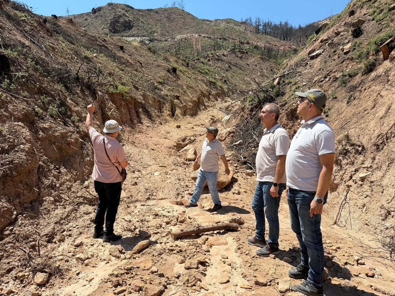 Denizli'de Ormanlar Için Kalıcı Çalışma (3)