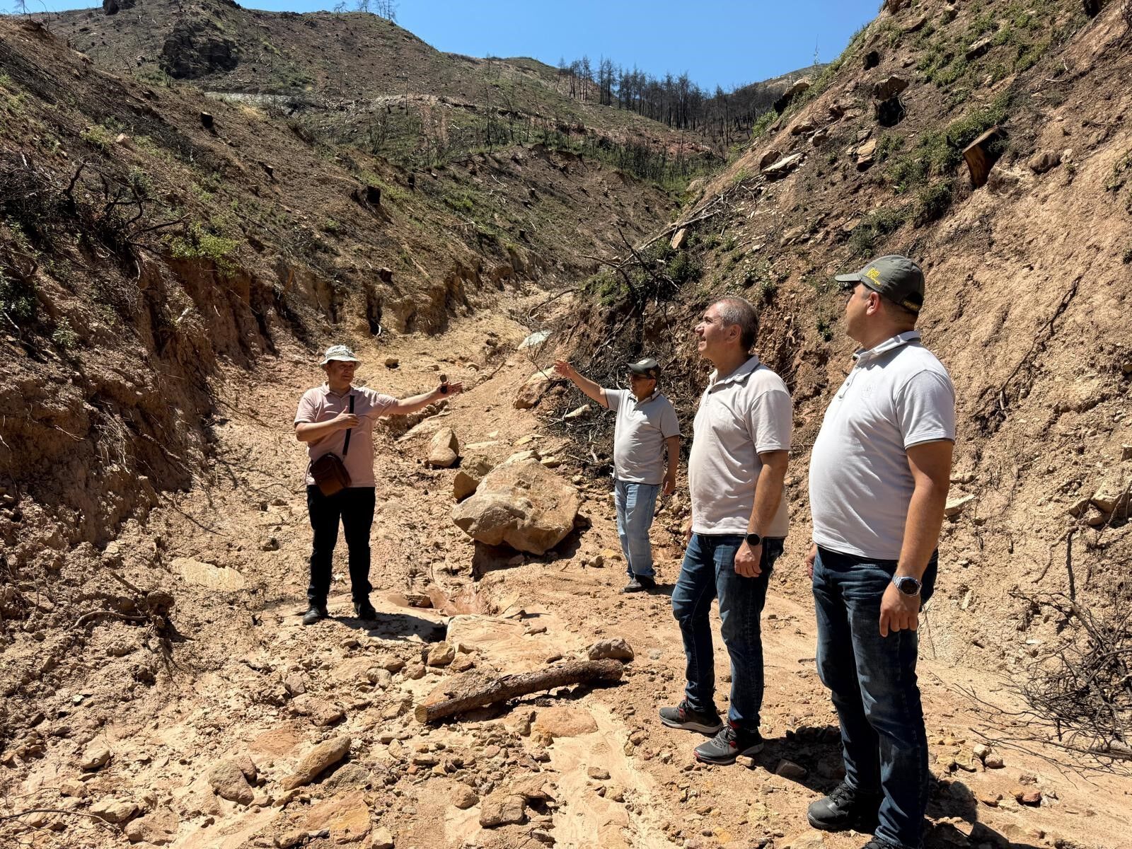 Denizli'de Ormanlar Için Kalıcı Çalışma (4)