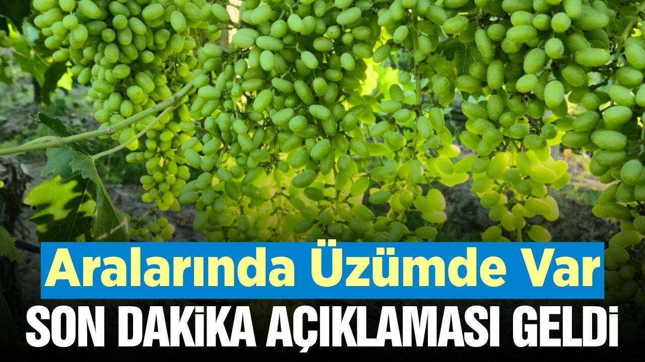 Manisa'da İl Tarımdan E-Reçete sistemi hakkında önemli bilgilendirme