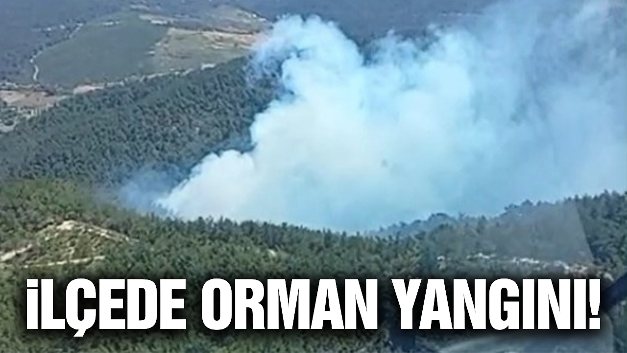 Manisa'da orman yangını: Havadan ve karadan müdahale ediliyor!