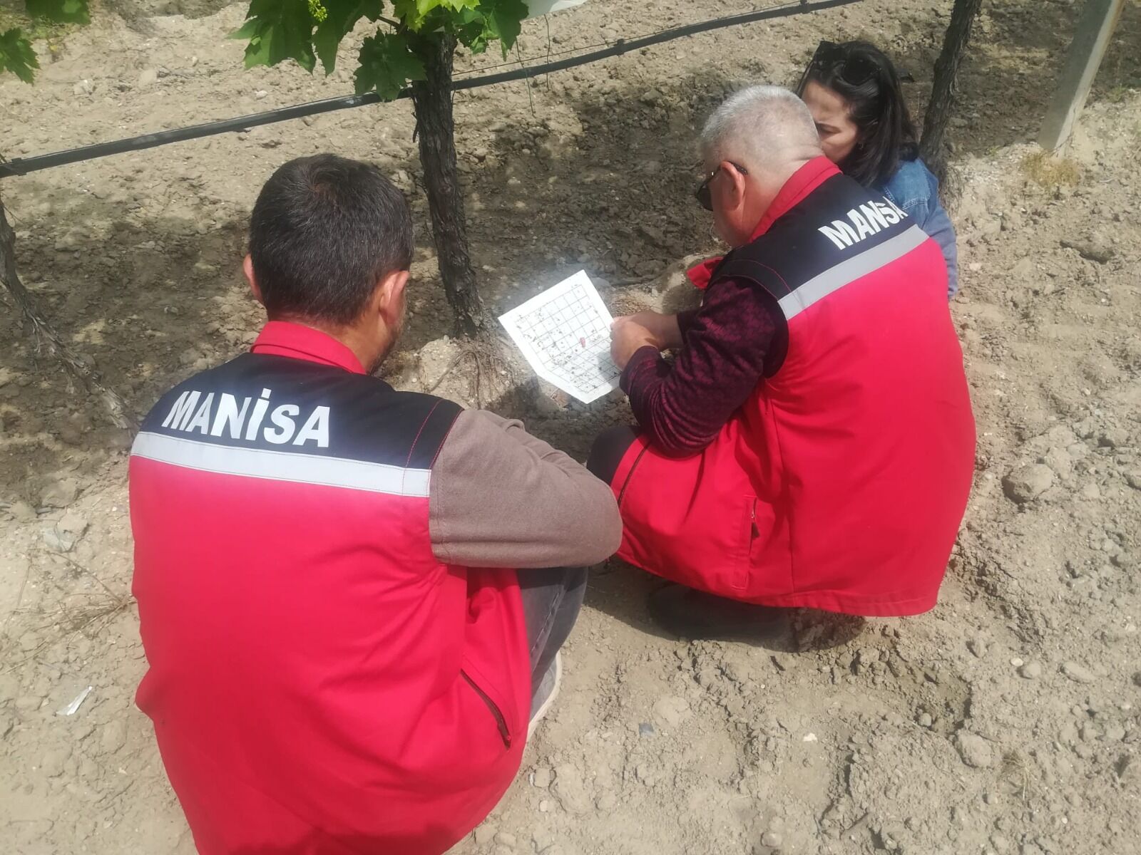 Manisa'da Üreticilere Dönemsel Bilgilendirme (3)