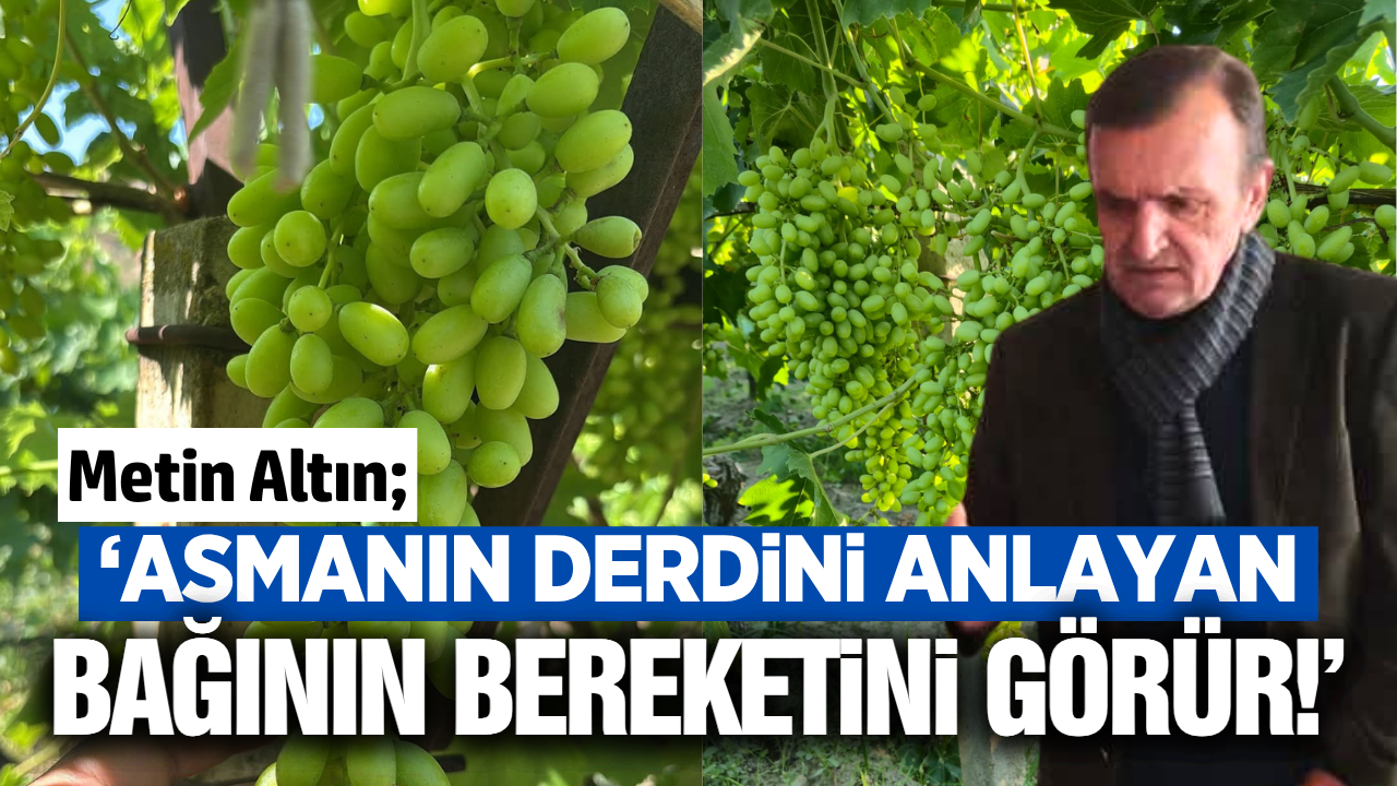 Metin Altın uyardı: 2017 yılında yüzde 30 ürün kaybına neden olmuştu