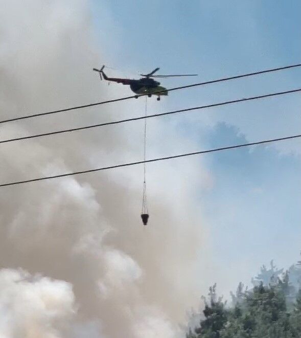 Orman Yangını (2)