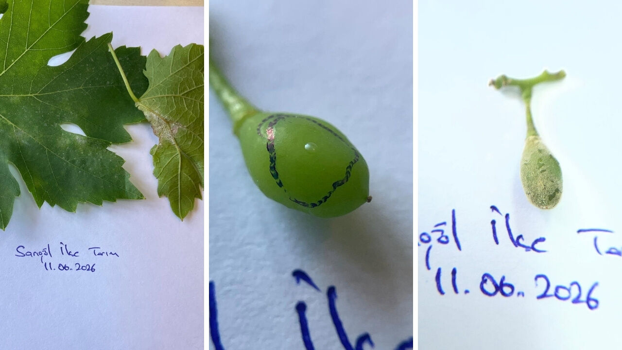 Sarıgöl Merkez Ve Ova Mahallelerine Uyarı Yapıldı! 3 Gün Süre Var Kapak