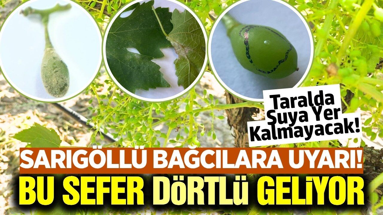 Sarıgöl'de Merkez ve Ova Mahallelerine Uyarı Yapıldı! 3 Gün Süre Var