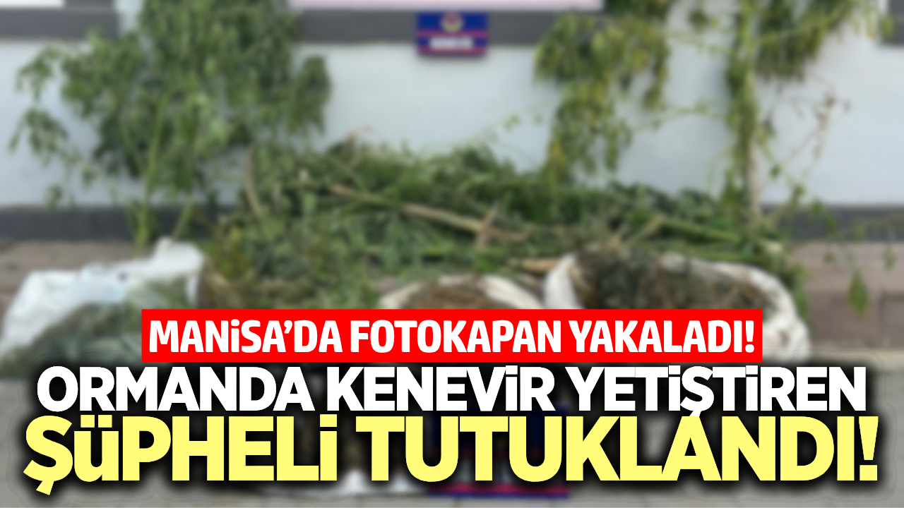 Sarıgöl'de uyuşturucu operasyonunda 1 tutuklama!