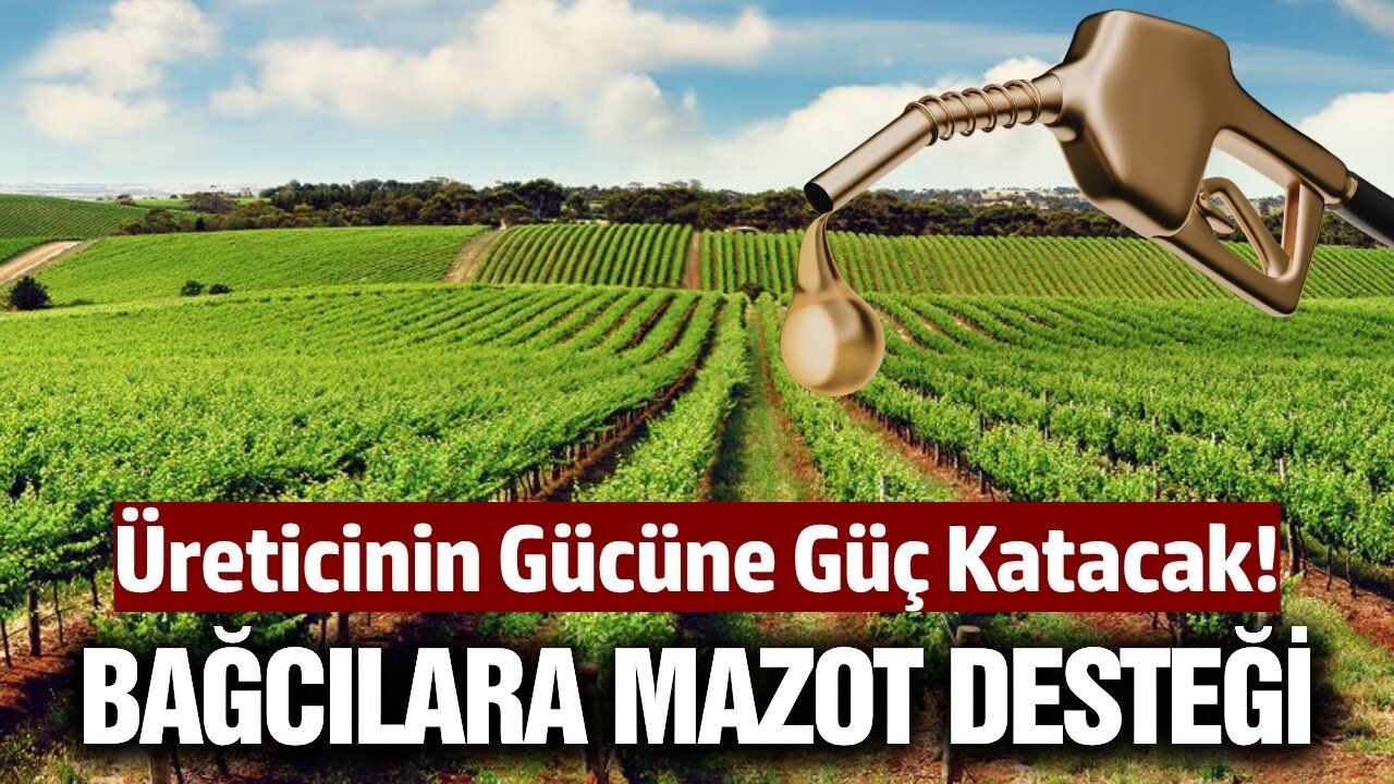 Tariş Üzüm Birliği'nden üreticilere mazot desteği